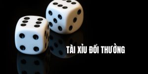 Tài Xỉu Đổi Thưởng - Thoải Mái Đặt Cược - Thu Lợi Nhuận Cao